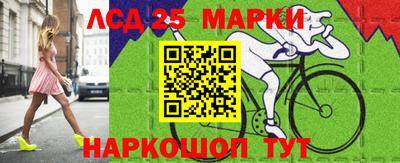 стафф Донской