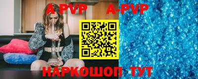 стафф Донской