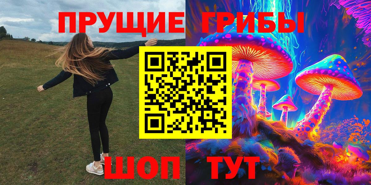 Псилоцибиновые грибы мицелий Карабулак