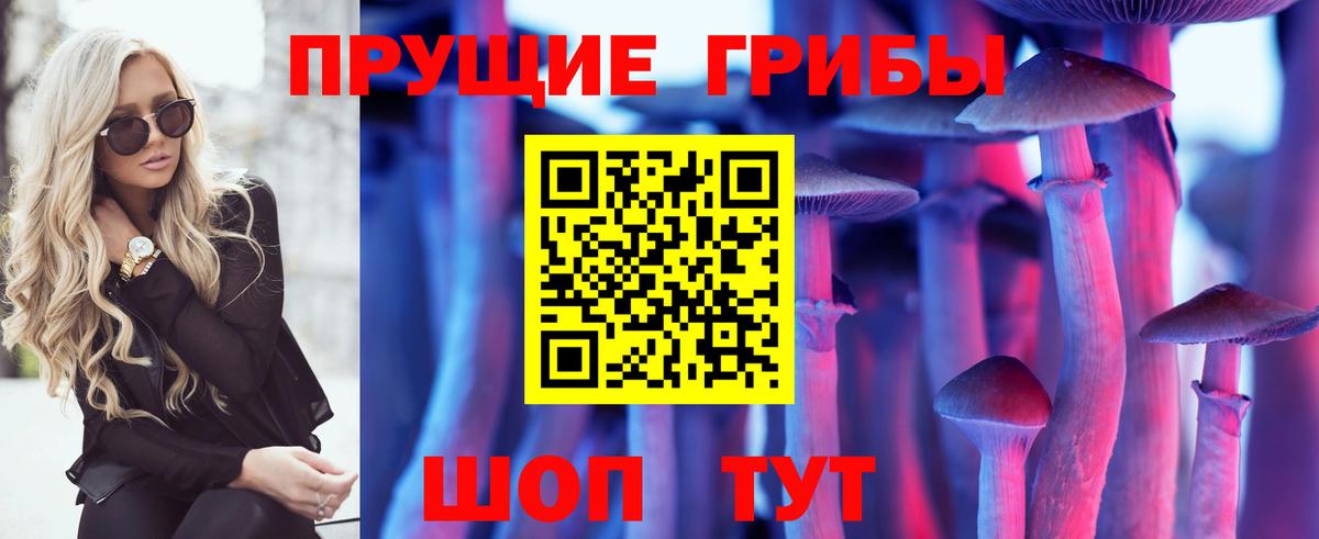 Галлюциногенные грибы MAGIC MUSHROOMS  Вход с VPN  Карабулак 